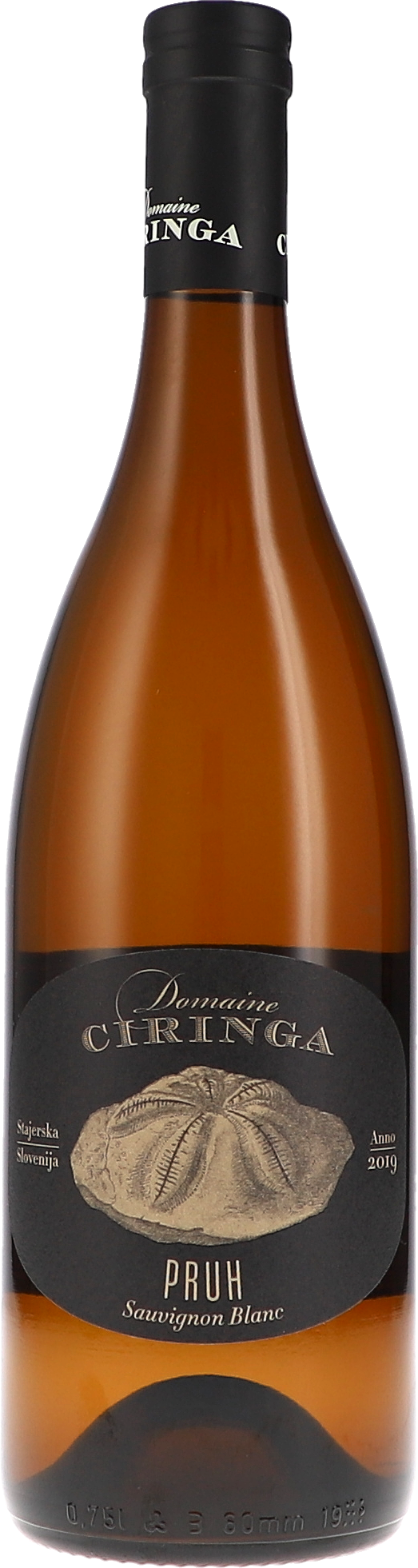 Tement Ciringa, Pruh 2019