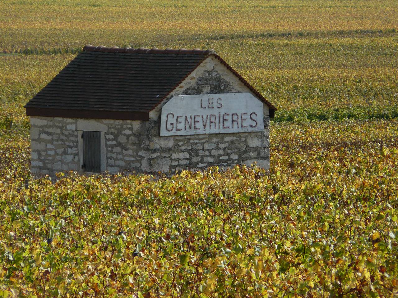 Rémi Jobard – Weingut