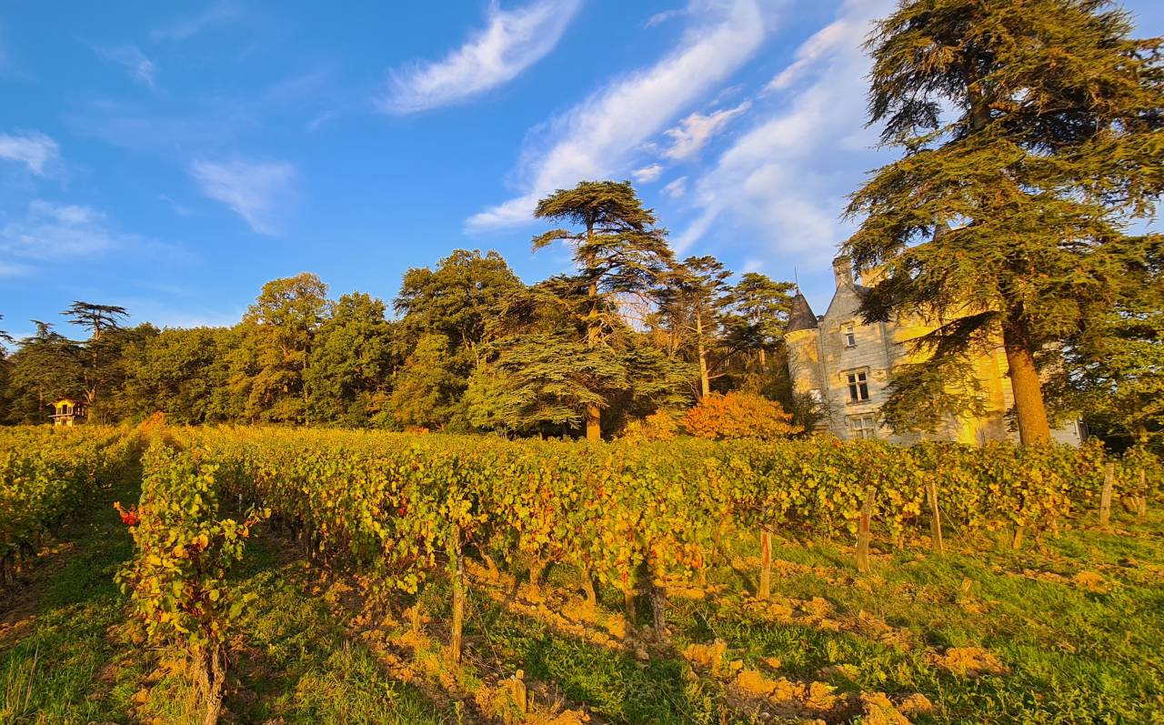 Château de Coulaine – Weingut