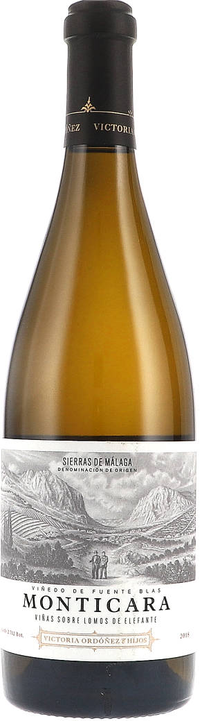 Victoria Ordóñez Monticara 2018