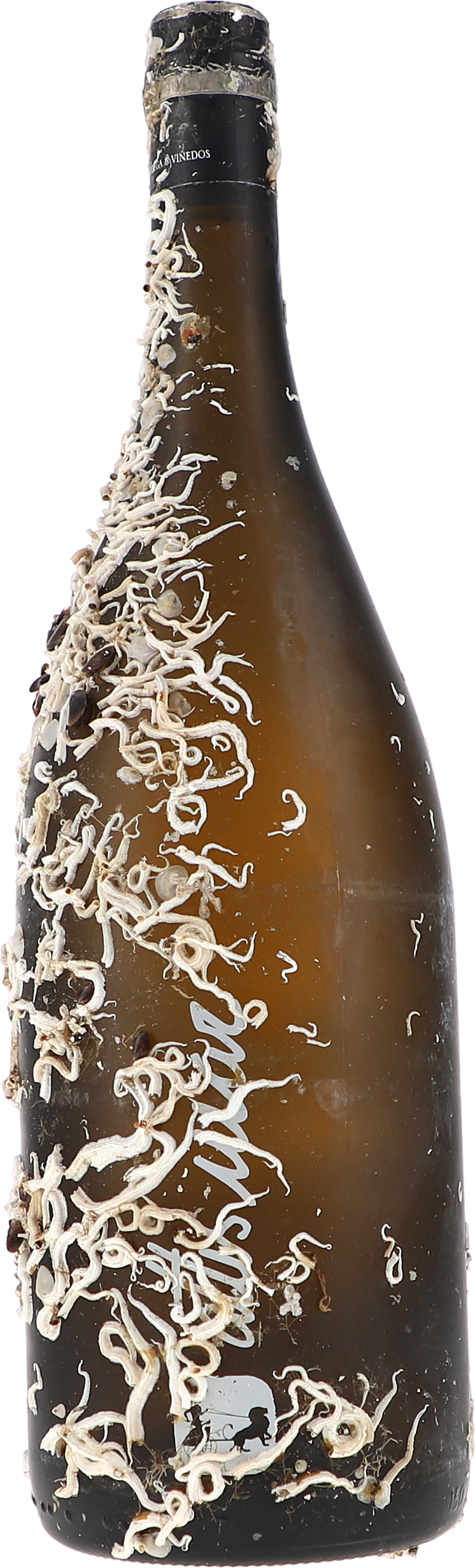 Attis Bodegas y Vinedos Attis Mar, gereift 9m unter Wasser im Galizischen Meer