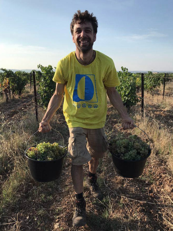 Clos de Beispiel – Merlot 2010
