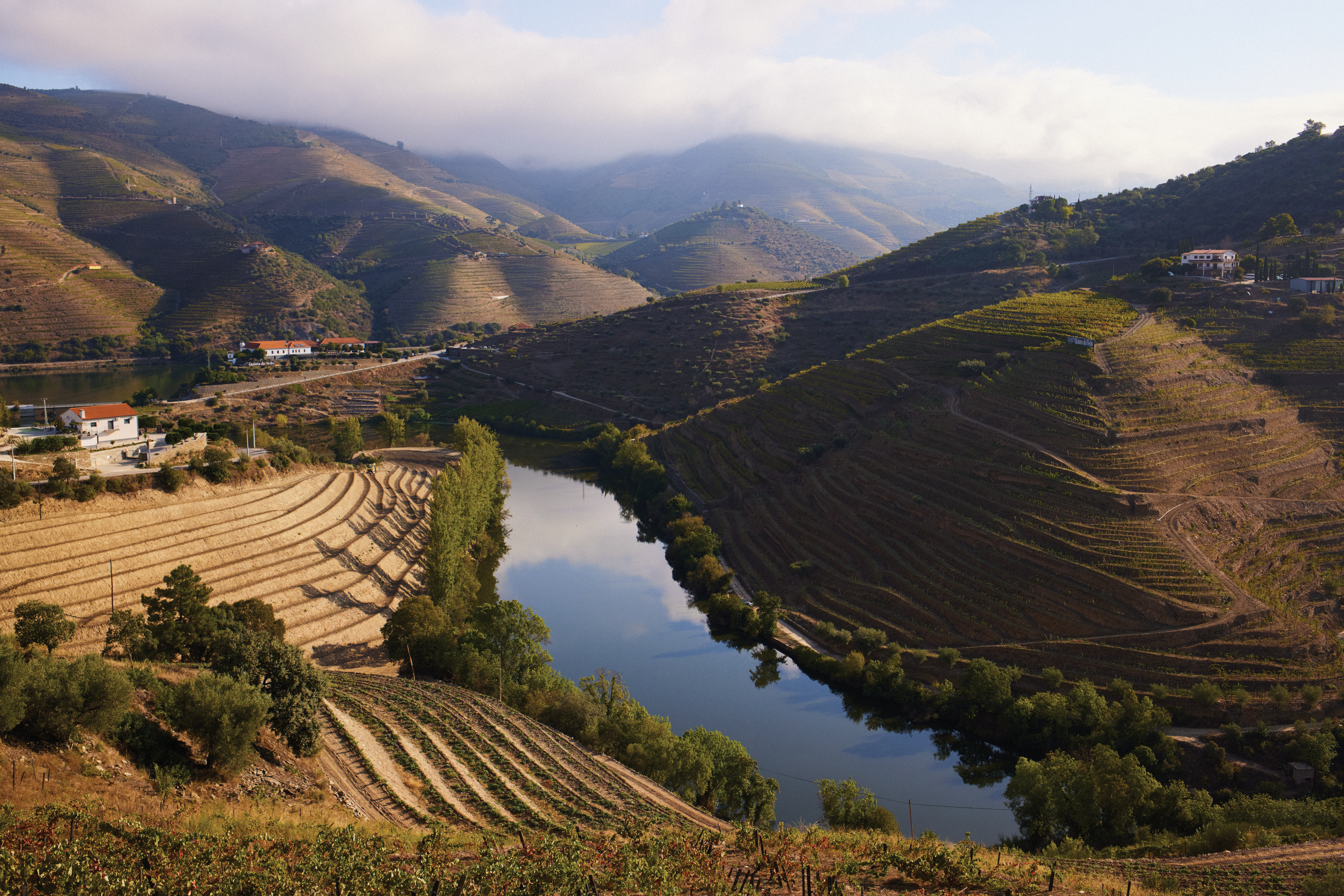 Quinta de Nápoles - Niepoort
