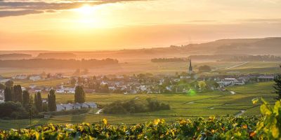 Domaine Thomas Morey